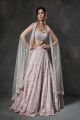 Beige Evening lehenga 