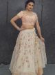 Posy Peach Double Layered Designer Organza Lehenga Online - Emiraas By Indrani